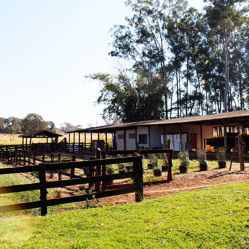 Alunos de Engenharia Agronômica têm aulas e atividades práticas na Fazenda-Escola